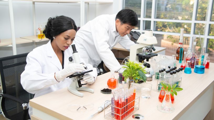 Bioinsumos no Brasil: como o país se tornou referência global em insumos biológicos agrícolas Bioinsumos no Brasil: como o país se tornou referência global em insumos biológicos agrícolas