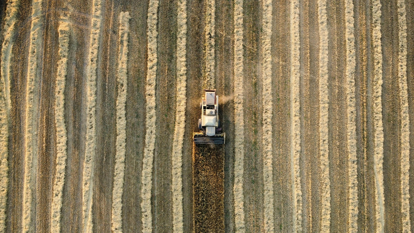 As vantagens tributárias do cooperativismo rural e por que poucos produtores as exploram por completo Parajara Moraes Alves Junior